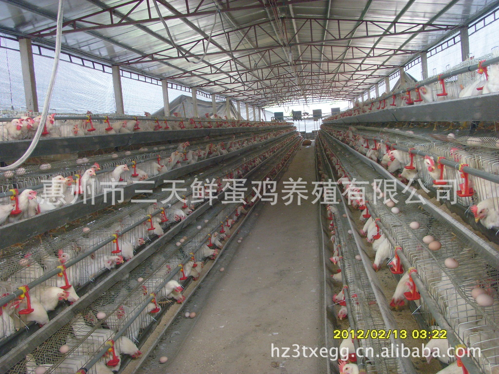 北京11个地王平均4年才回本 疯狂地价加剧风险【星空综合】(图1) 星空·综合体育