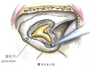 星空·综合体育