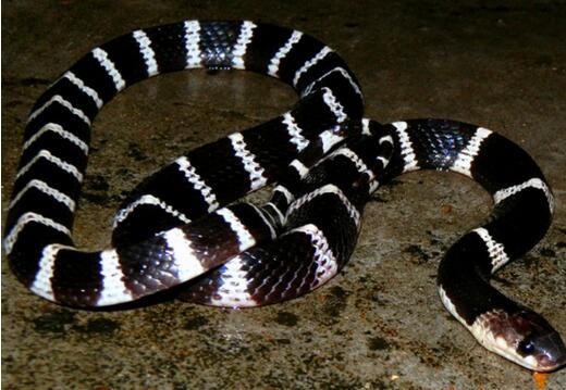 星空·综合体育