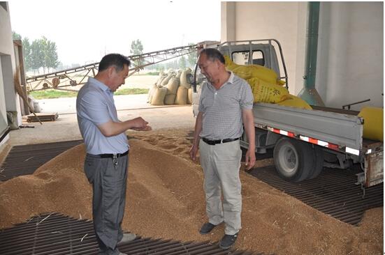 星空·综合体育