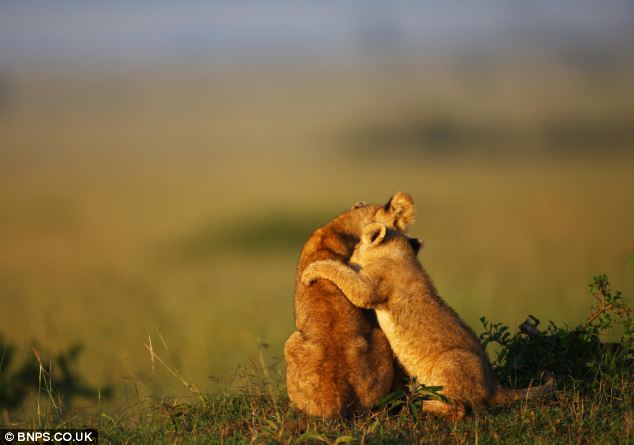 星空·综合体育