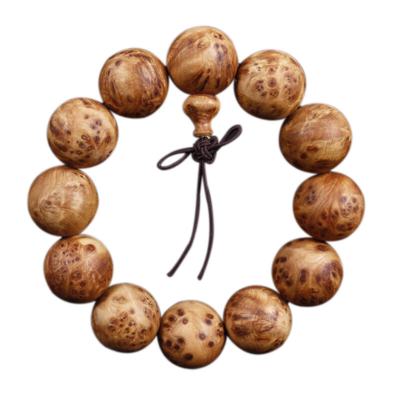 我校举办绿植认养活动‘星空·综合体育’(图1) 星空综合