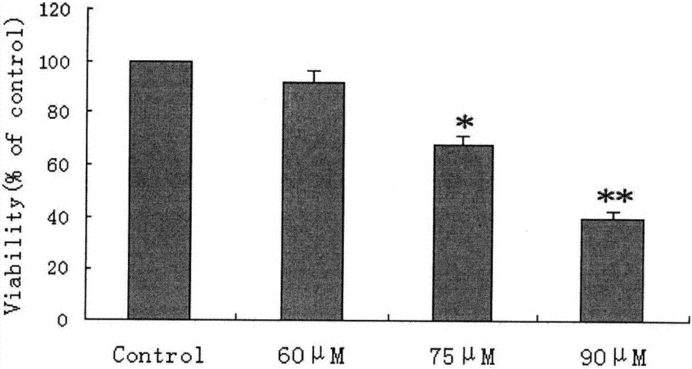 星空·综合体育