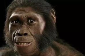 星空·综合体育