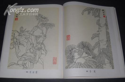 星空·综合体育