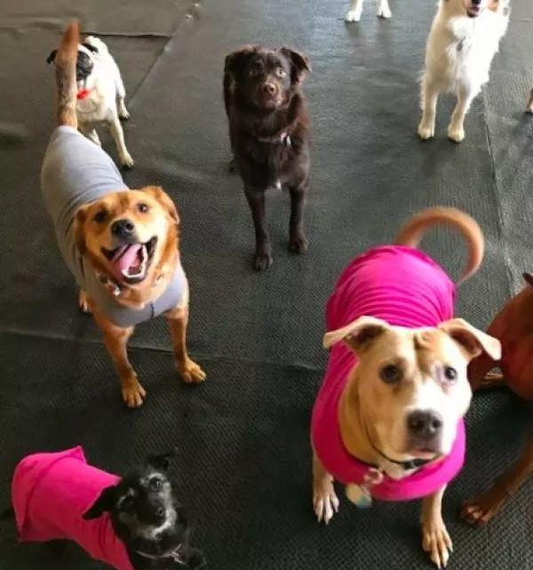 星空·综合体育