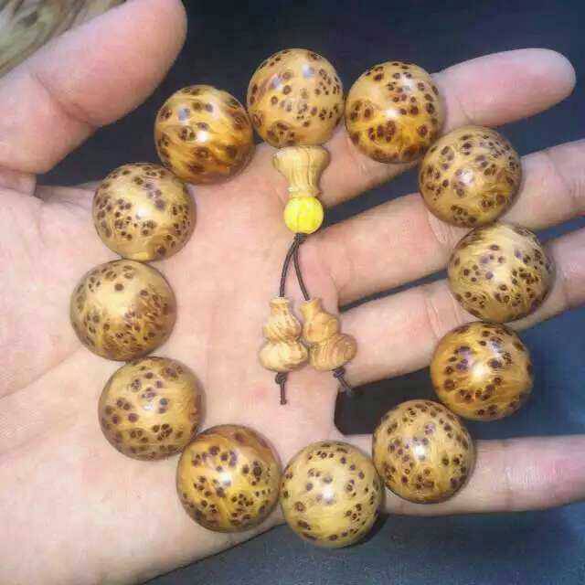 星空·综合体育