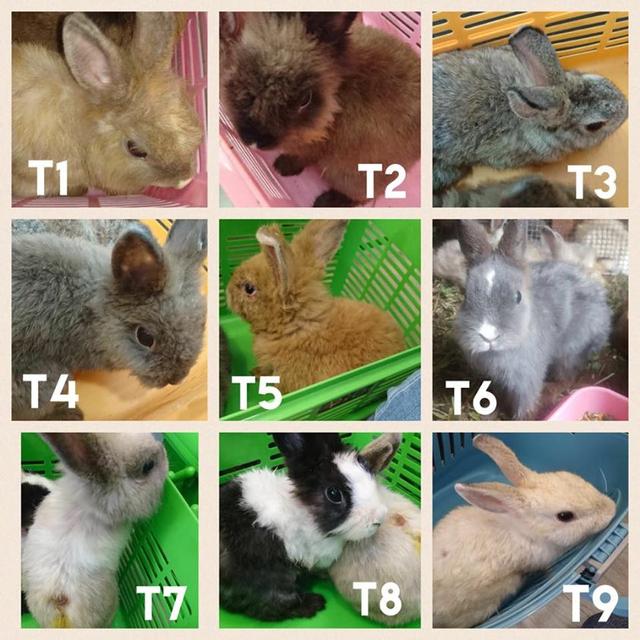 星空·综合体育