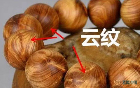 ‘星空综合’许昌学院赴豫辰精细化工有限公司社会实践(图)(图1) 星空综合
